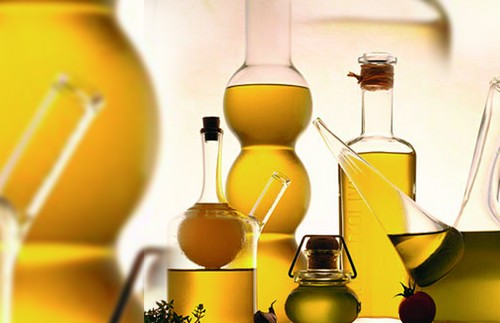 IGP dell’olio extravergine d’oliva della Campania: nuovi Organi per il Comitato